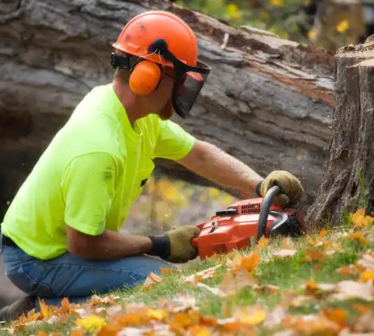 tree services Paulsboro